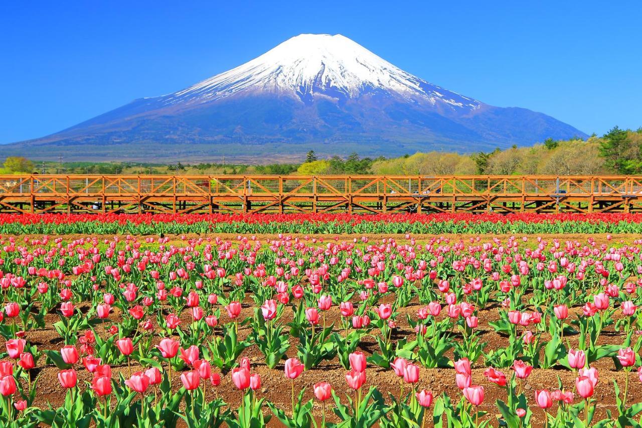 Hatago Tsubakiya Yamanakako Exteriér fotografie